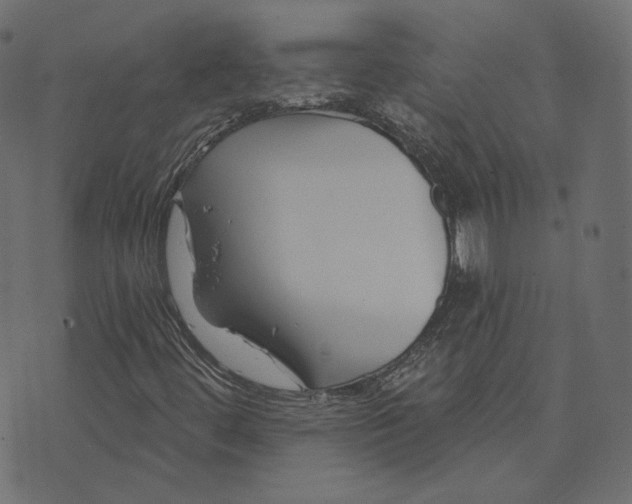 X0000073421444200608251538