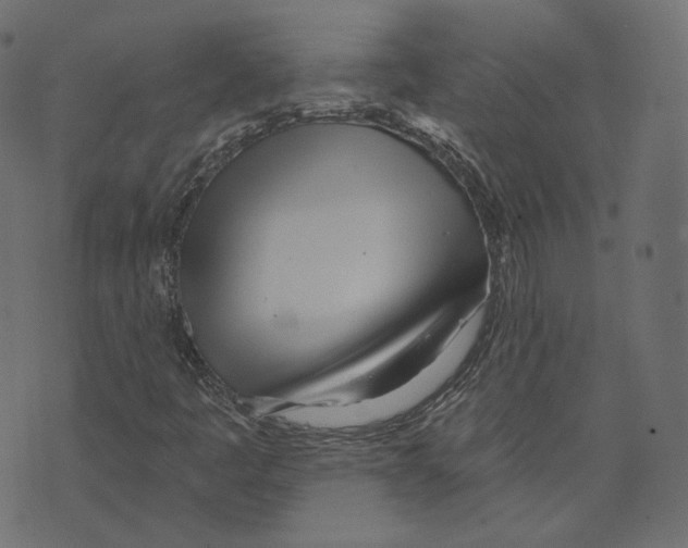 X0000073421445200608251538