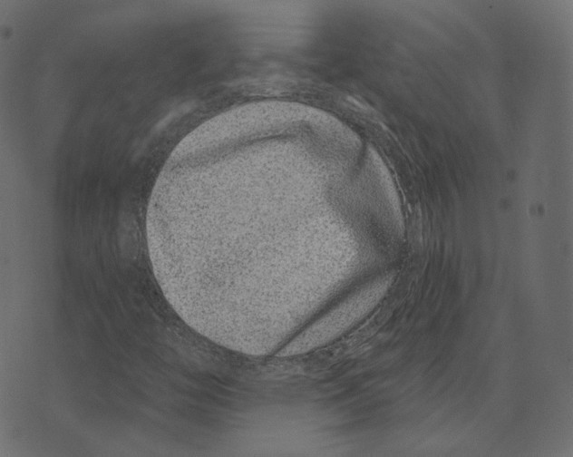 X0000073421446200608251538