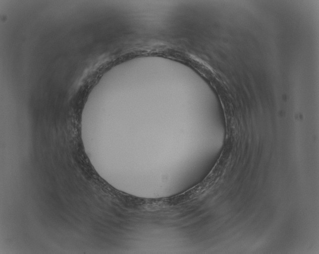 X0000073421447200608251538