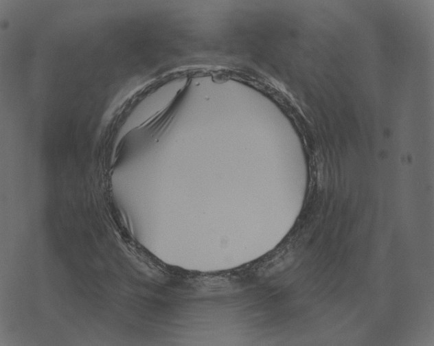 X0000073421448200608251538