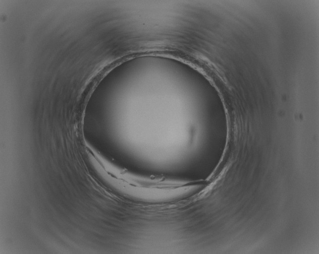 X0000073421449200608251538