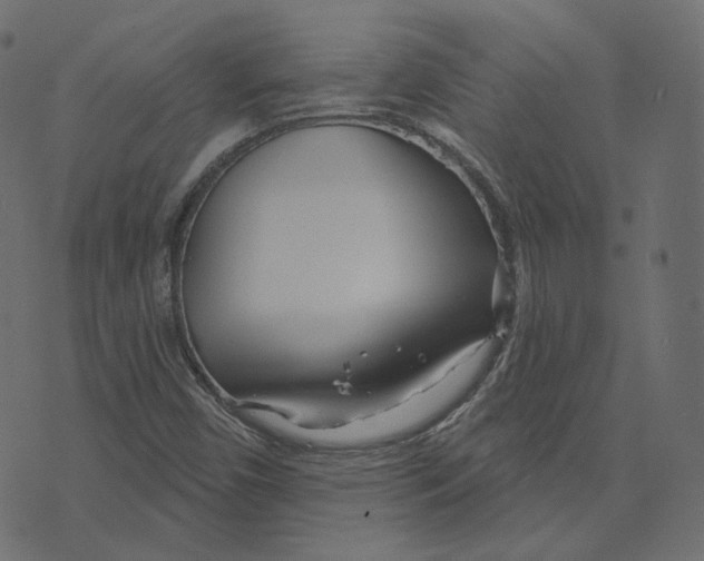 X0000073421450200608251538