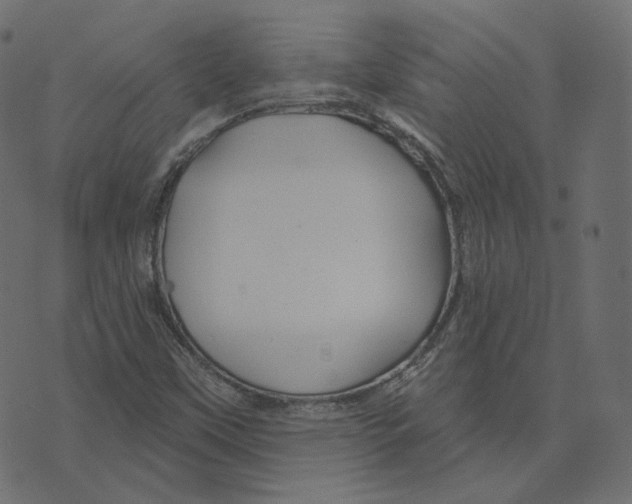 X0000073421451200608251538