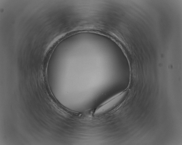 X0000073421452200608251538