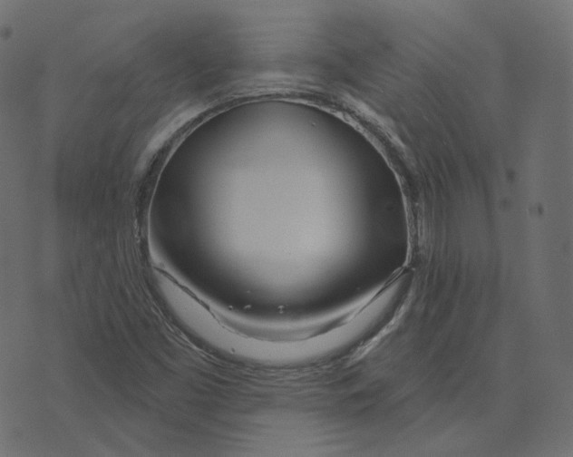 X0000073421453200608251538