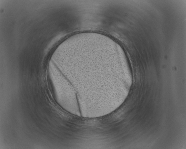 X0000073421454200608251538