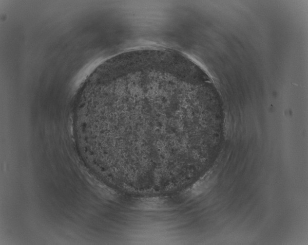 X0000073421455200608251538