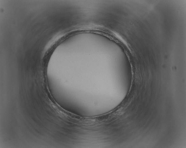 X0000073421456200608251538