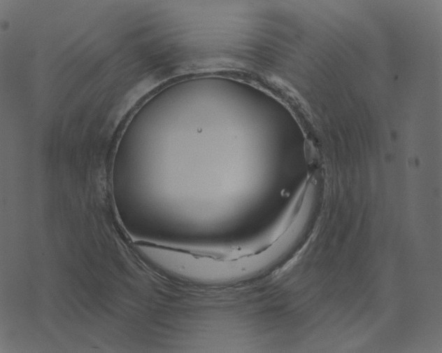 X0000073421457200608251538