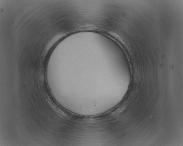 X0000073421458200608251538