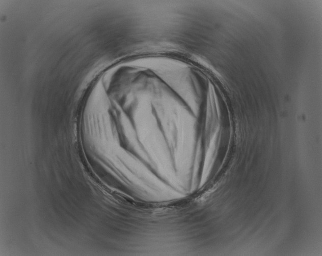 X0000073421459200608251538