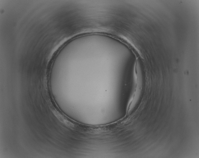 X0000073421460200608251538