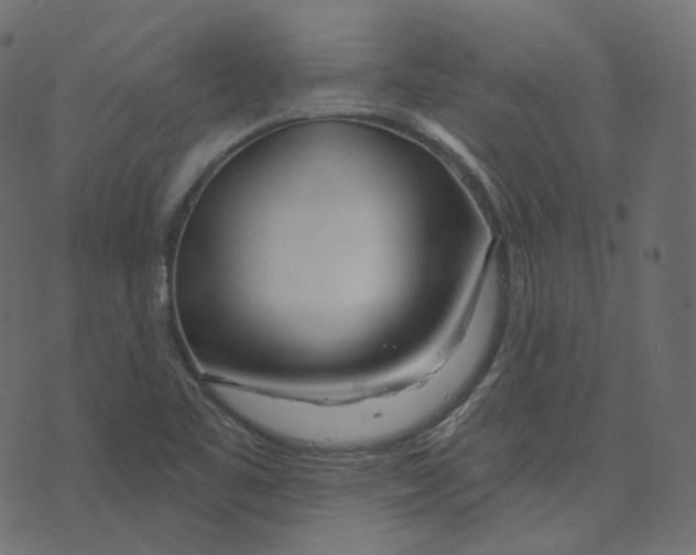 X0000073421461200608251538