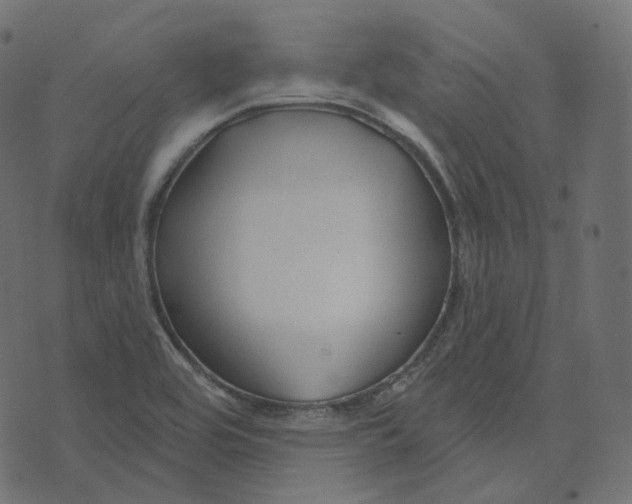 X0000073421464200608251538