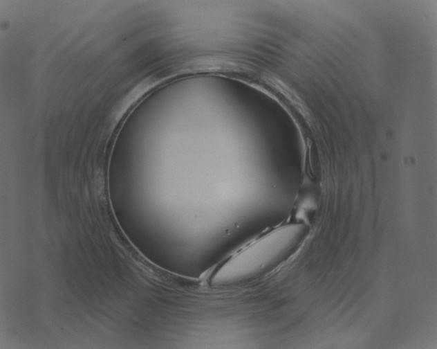 X0000073421465200608251538