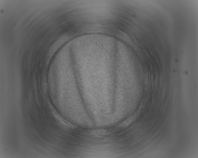 X0000073421466200608251538