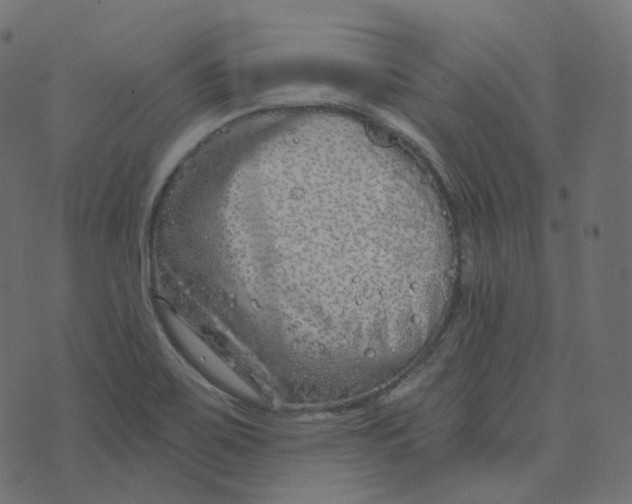 X0000073421467200608251538