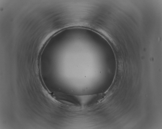 X0000073421468200608251538