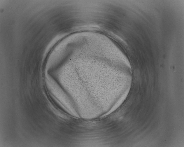 X0000073421470200608251538