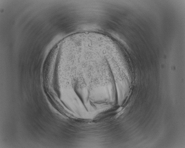 X0000073421471200608251538