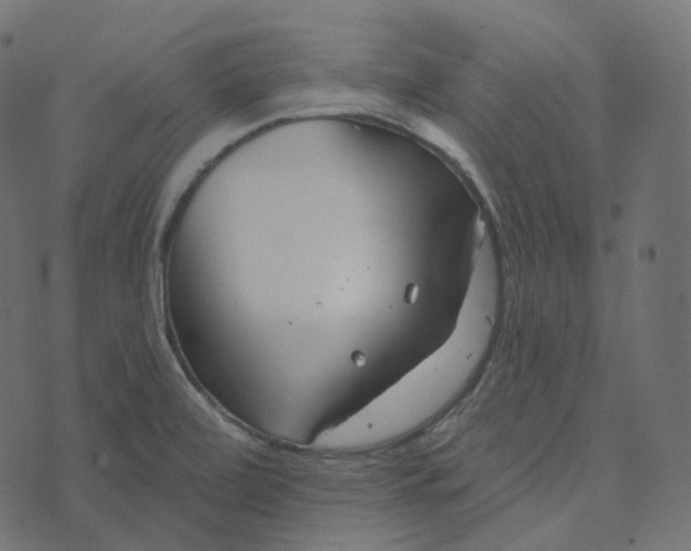 X0000073421472200608251538