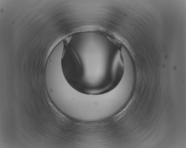 X0000073421473200608251538