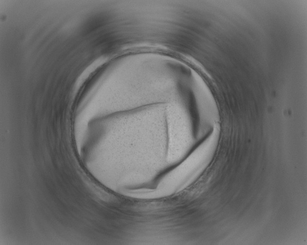 X0000073421474200608251538