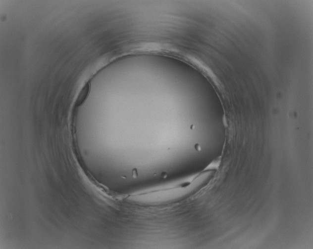 X0000073421475200608251538