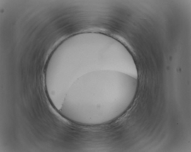 X0000073421476200608251538