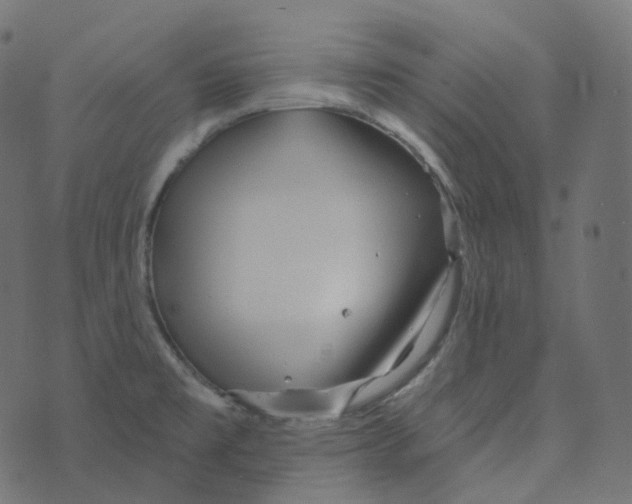 X0000073421477200608251537