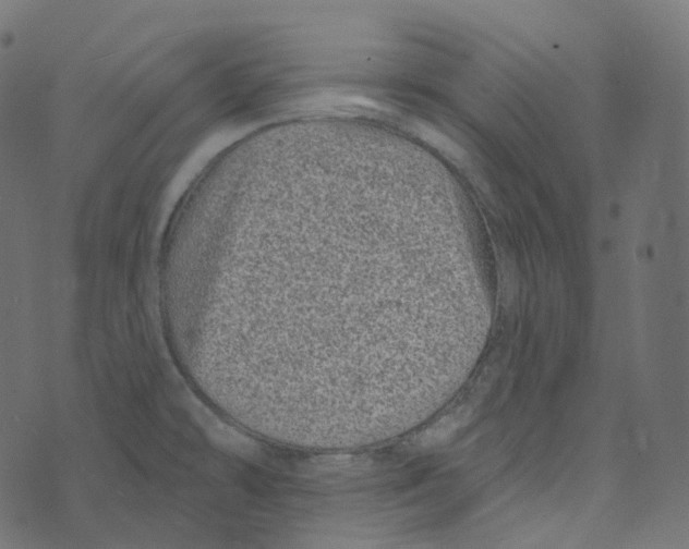 X0000073421478200608251537