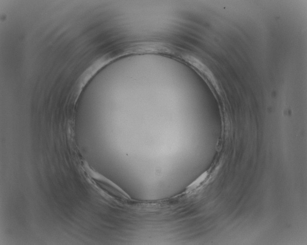 X0000073421481200608251537