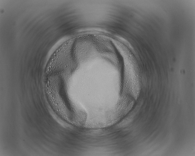 X0000073421482200608251537