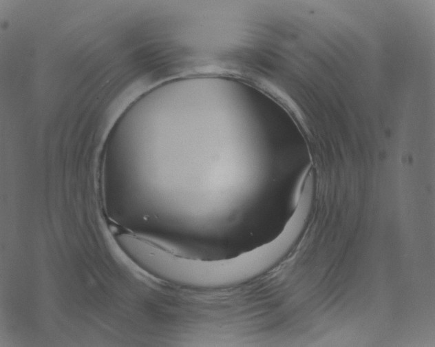 X0000073421483200608251537