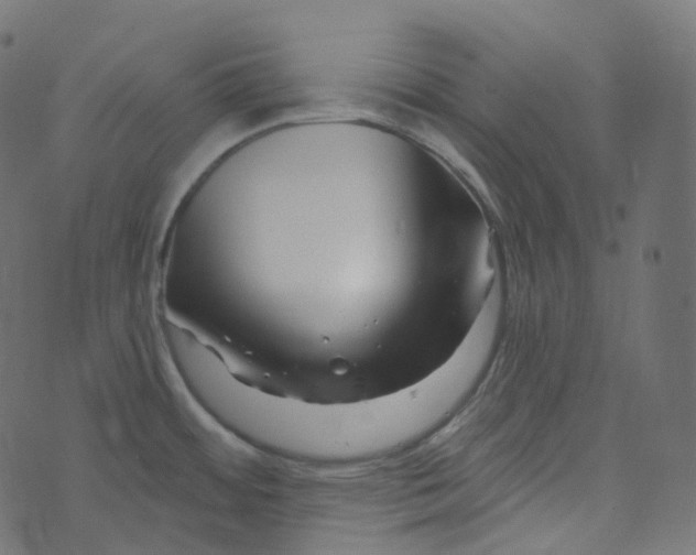 X0000073421484200608251537