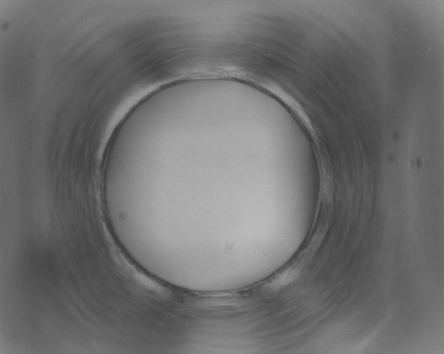 X0000073421486200608251537