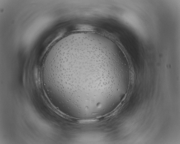 X0000073421487200608251537