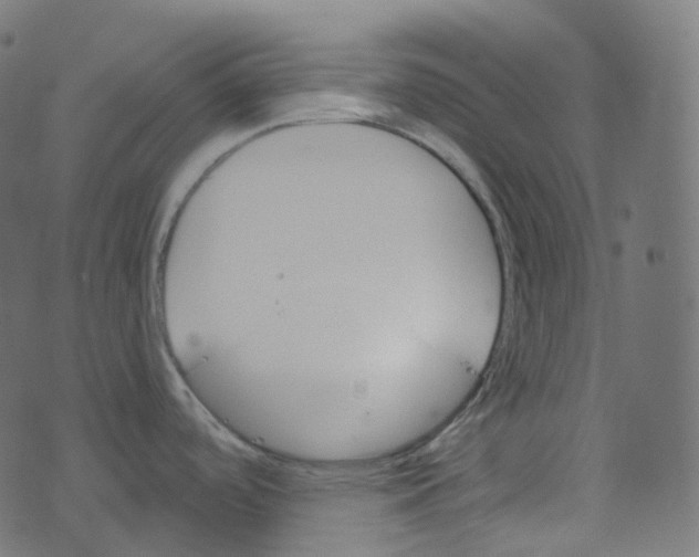 X0000073421488200608251537