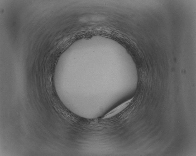 X0000073421489200608251537