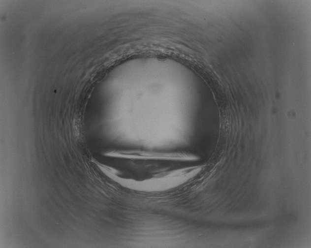 X0000073421490200608251537