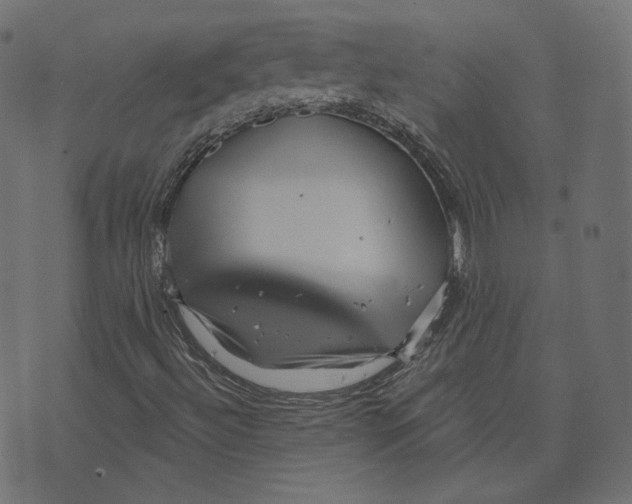 X0000073421492200608251537