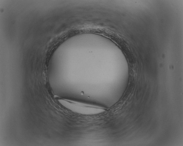 X0000073421493200608251537