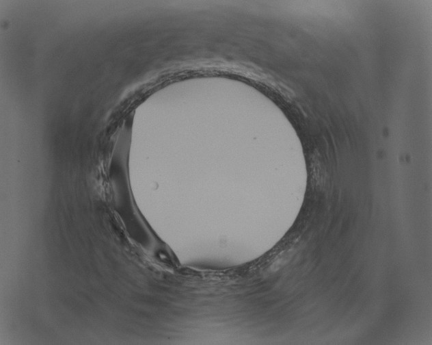 X0000073421494200608251537