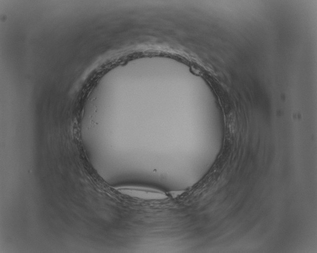 X0000073421495200608251537