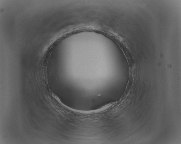 X0000073421496200608251537