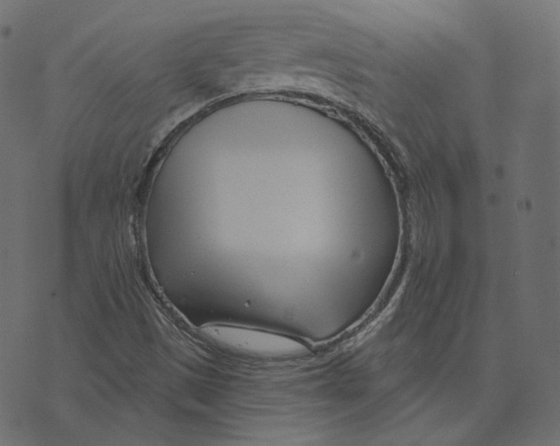 X0000073421497200608251537