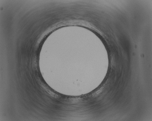 X0000073421498200608251537