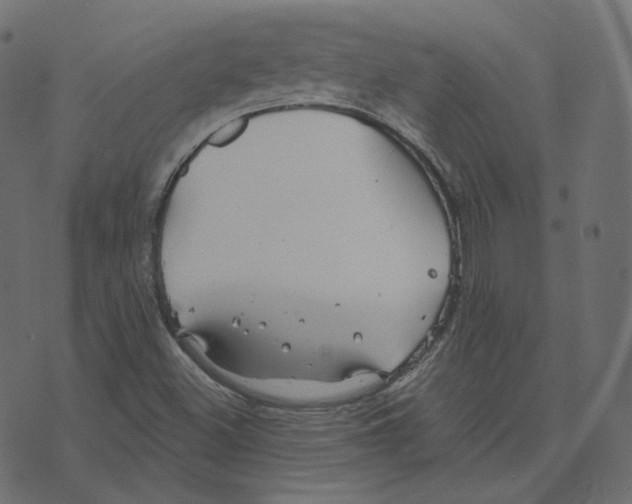 X0000073421500200608251537