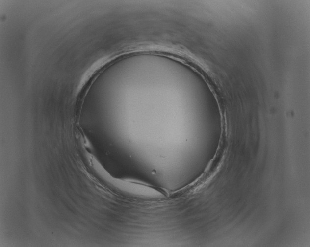 X0000073421501200608251537